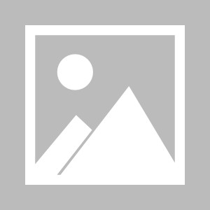 凤凰娱乐APP-包含足球聚焦十分盛大赛事，球迷狂热支持的词条